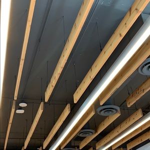 Meet your Posher, Millie